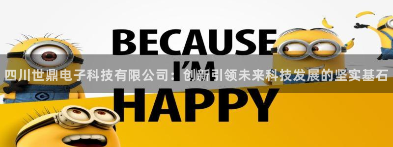 四川世鼎电子科技有限公司：创新引领未来科技发展的坚实基石