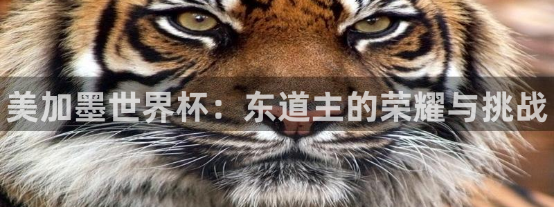 美加墨世界杯：东道主的荣耀与挑战