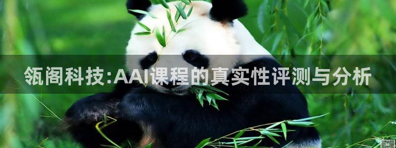 瓴阁科技:AAI课程的真实性评测与分析