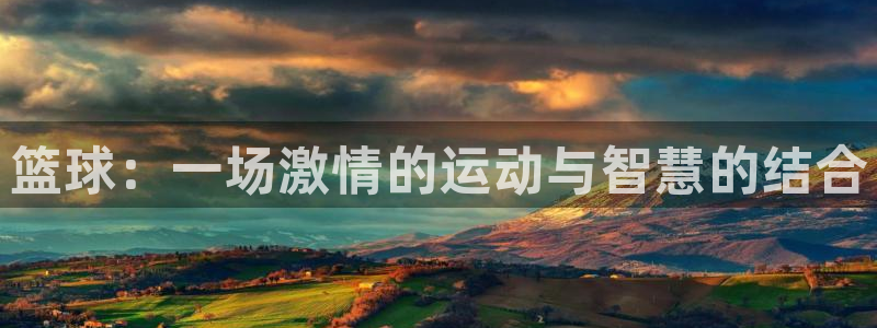 篮球：一场激情的运动与智慧的结合