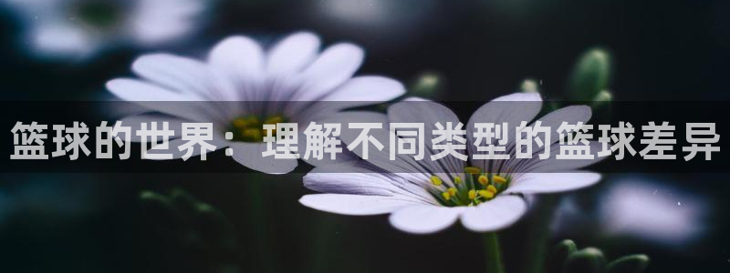 篮球的世界：理解不同类型的篮球差异