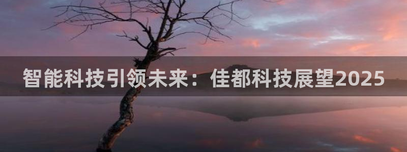 智能科技引领未来：佳都科技展望2025