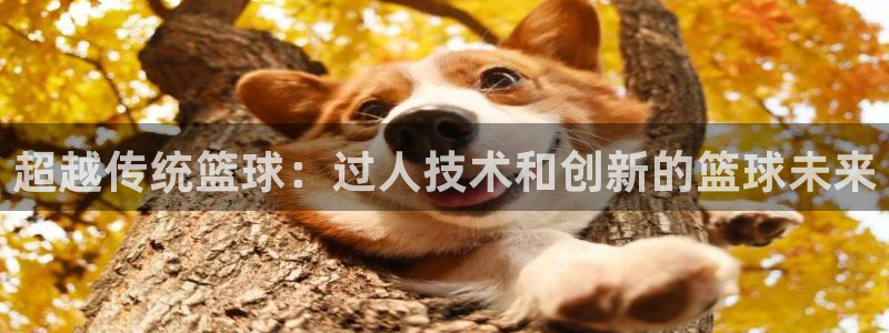 超越传统篮球：过人技术和创新的篮球未来