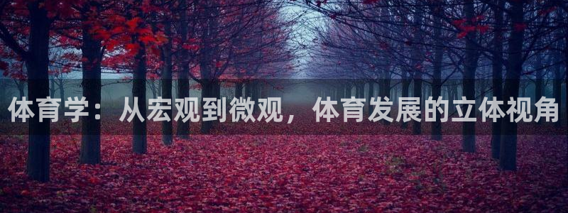 体育学：从宏观到微观，体育发展的立体视角