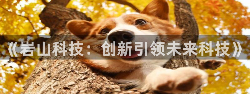 《岩山科技：创新引领未来科技》