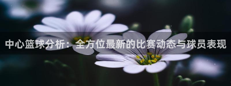 中心篮球分析：全方位最新的比赛动态与球员表现