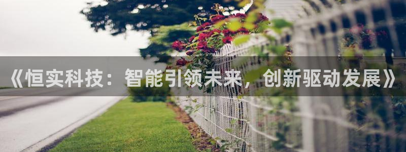 《恒实科技：智能引领未来，创新驱动发展》