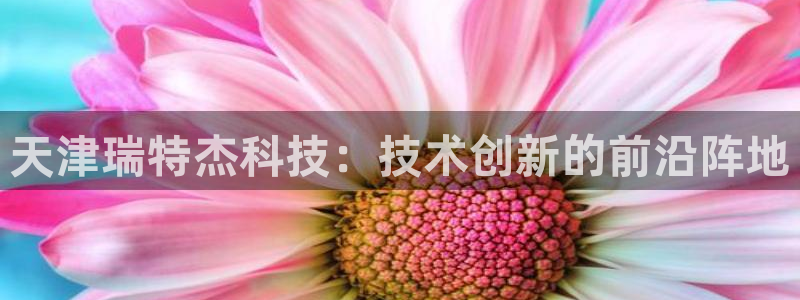 天津瑞特杰科技：技术创新的前沿阵地