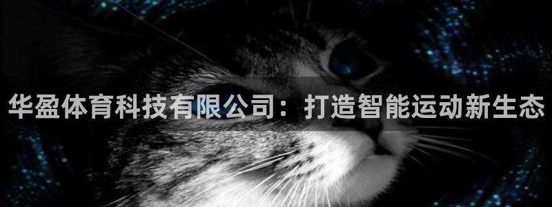 华盈体育科技有限公司：打造智能运动新生态