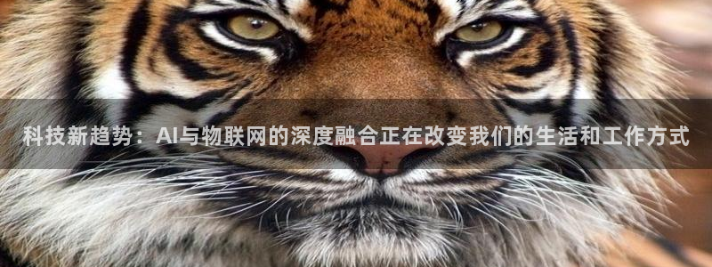 科技新趋势：AI与物联网的深度融合正在改变我们的生活和工作方式