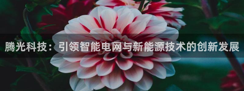 腾光科技：引领智能电网与新能源技术的创新发展