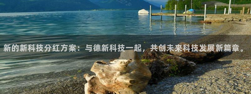 新的新科技分红方案：与德新科技一起，共创未来科技发展新篇章。