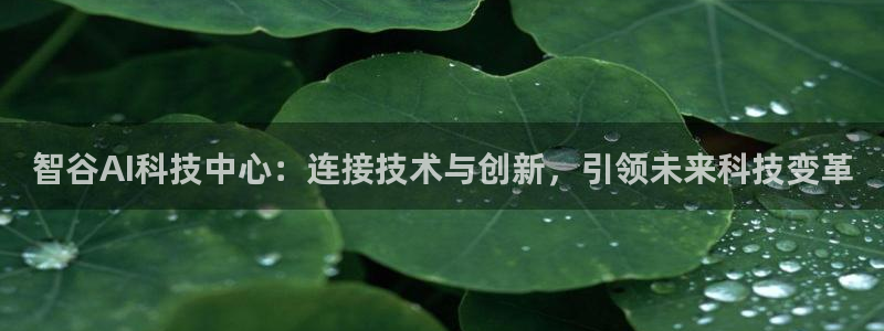 智谷AI科技中心：连接技术与创新，引领未来科技变革