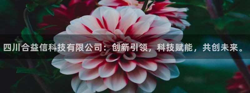 四川合益信科技有限公司：创新引领，科技赋能，共创未来。
