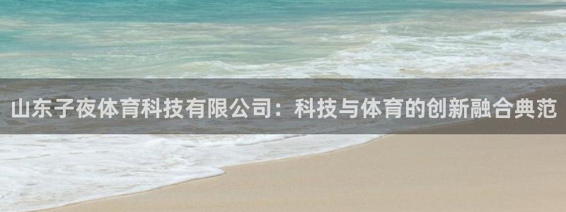 山东子夜体育科技有限公司：科技与体育的创新融合典范