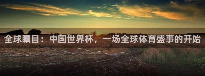 全球瞩目：中国世界杯，一场全球体育盛事的开始
