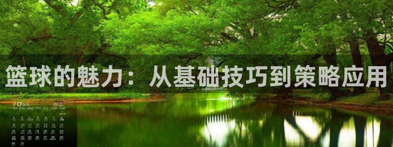 篮球的魅力：从基础技巧到策略应用