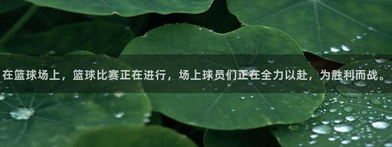 在篮球场上，篮球比赛正在进行，场上球员们正在全力以赴，为胜利而战。