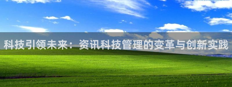 科技引领未来：资讯科技管理的变革与创新实践