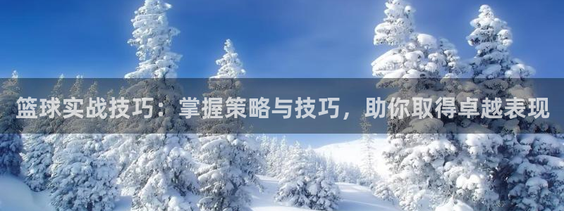 篮球实战技巧：掌握策略与技巧，助你取得卓越表现