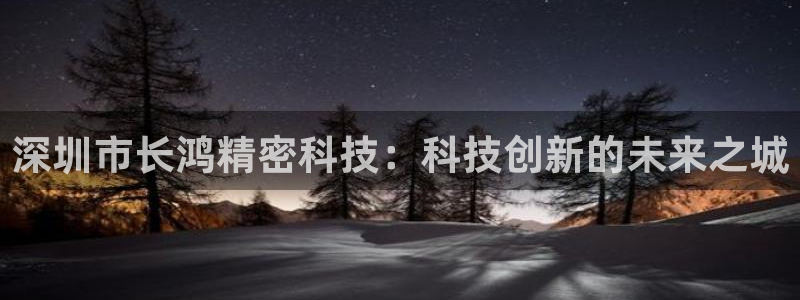 深圳市长鸿精密科技：科技创新的未来之城