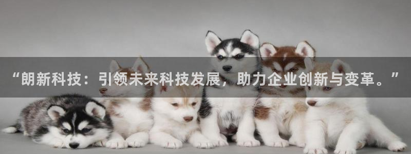 “朗新科技：引领未来科技发展，助力企业创新与变革。”