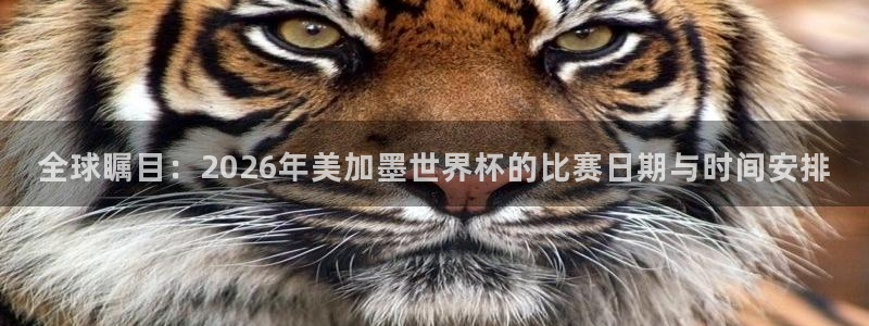 全球瞩目：2026年美加墨世界杯的比赛日期与时间安排