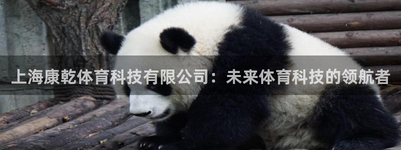 上海康乾体育科技有限公司：未来体育科技的领航者