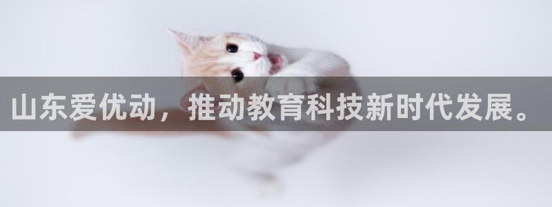 山东爱优动，推动教育科技新时代发展。