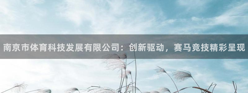 南京市体育科技发展有限公司：创新驱动，赛马竞技精彩呈现