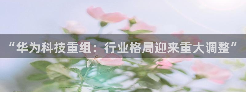 “华为科技重组：行业格局迎来重大调整”