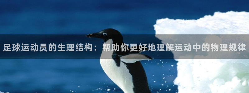 足球运动员的生理结构：帮助你更好地理解运动中的物理规律