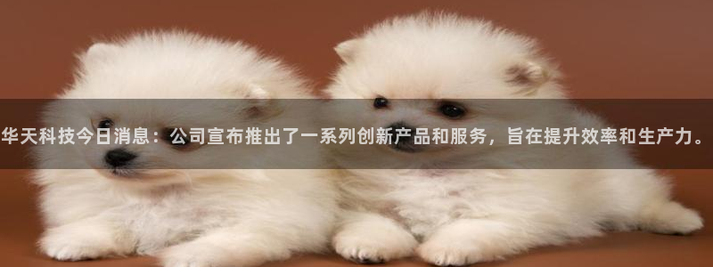 华天科技今日消息：公司宣布推出了一系列创新产品和服务，旨在提升效率和生产力。