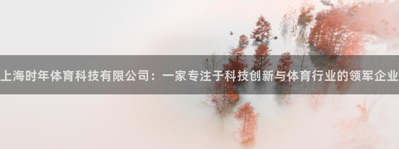 上海时年体育科技有限公司：一家专注于科技创新与体育行业的领军企业