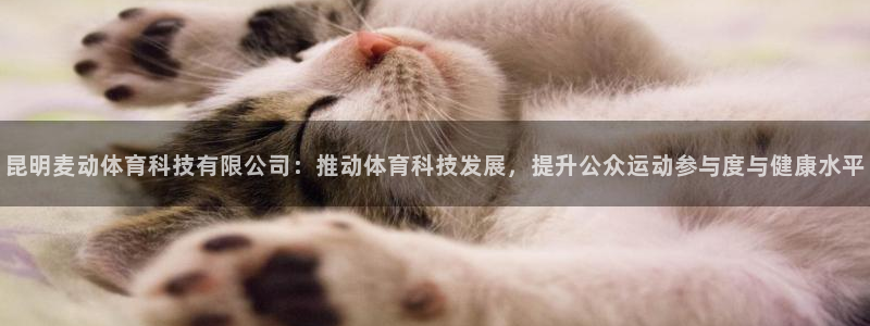 昆明麦动体育科技有限公司：推动体育科技发展，提升公众运动参与度与健康水平
