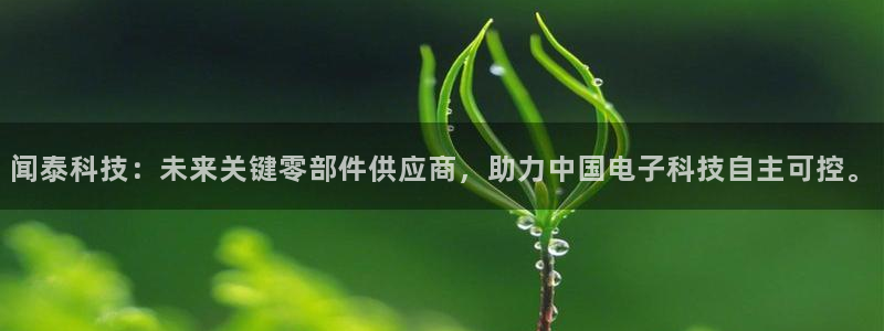 闻泰科技：未来关键零部件供应商，助力中国电子科技自主可控。