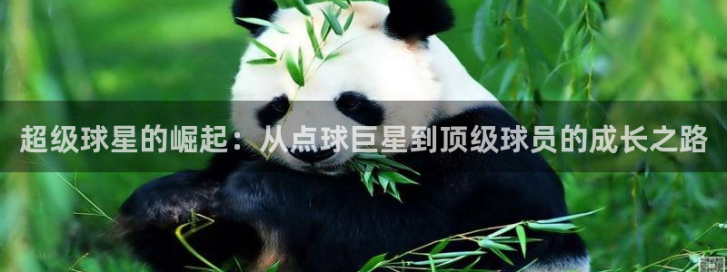 超级球星的崛起：从点球巨星到顶级球员的成长之路
