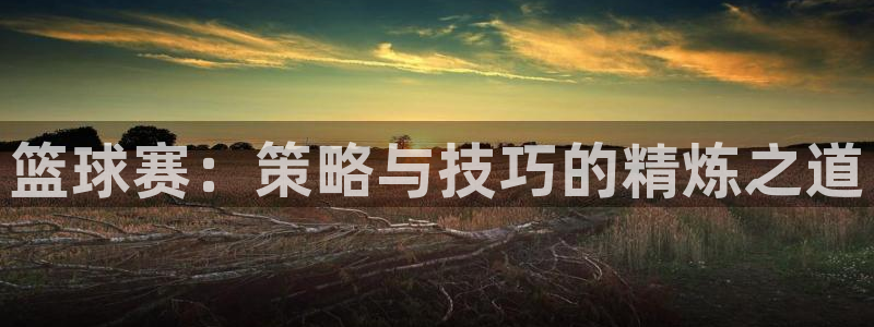 篮球赛：策略与技巧的精炼之道