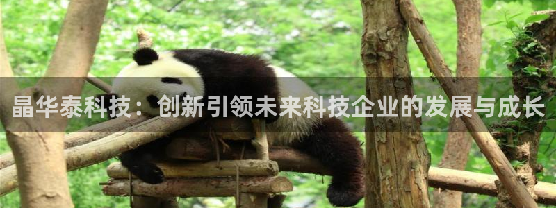 晶华泰科技：创新引领未来科技企业的发展与成长