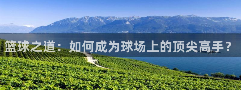 篮球之道：如何成为球场上的顶尖高手？