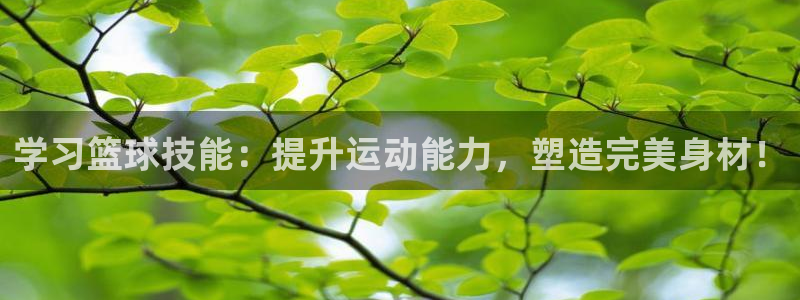 学习篮球技能：提升运动能力，塑造完美身材！