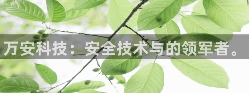 万安科技：安全技术与的领军者。