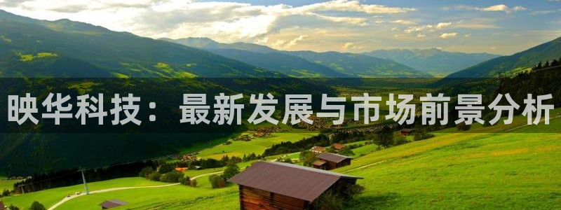 映华科技：最新发展与市场前景分析
