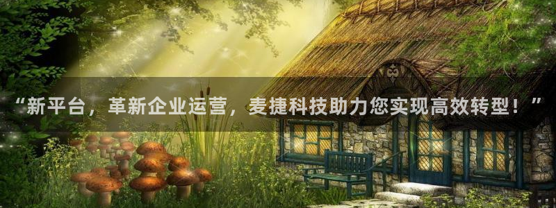 “新平台，革新企业运营，麦捷科技助力您实现高效转型！”