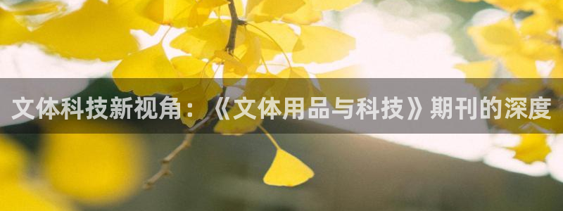 文体科技新视角：《文体用品与科技》期刊的深度