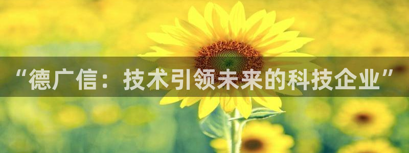 “德广信：技术引领未来的科技企业”