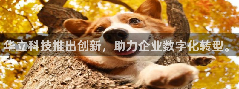 华立科技推出创新，助力企业数字化转型。