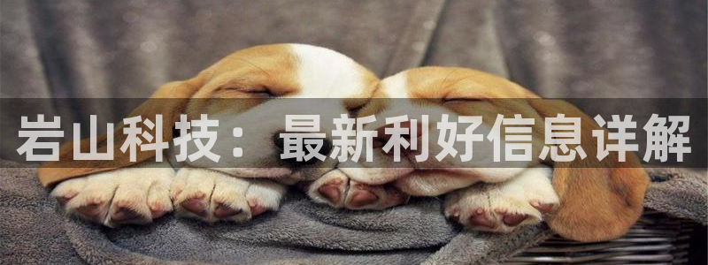 岩山科技：最新利好信息详解