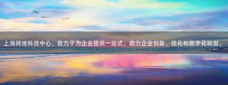 上海网络科技中心，致力于为企业提供一站式，助力企业创新、优化和数字化转型。