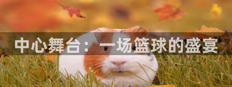 中心舞台：一场篮球的盛宴